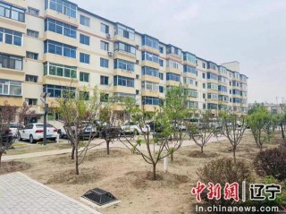 沈阳铁西区翟家街道：多措并举解民忧见行见效暖民心